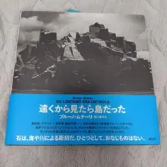 遠くから見たら島だった