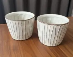 Item thumbnail for item 062cacc3-fe8e-451f-82a3-a30bd51f3de7