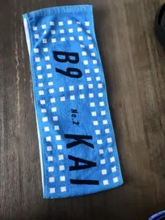 Item thumbnail for item 34f254dd-9031-4eaf-a565-b44324bc8e0a