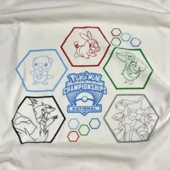 【最初期】90s Pokémon ポケモン大集合 リザードン ロンT 任天堂公式 最初期】90s Pokémon ポケモン大集合 リザードン ロンT 任天堂公式