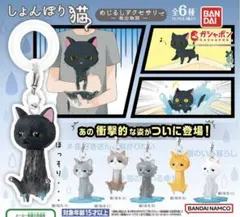 しょんぼり猫 めじるしアクセサリー 救出物語 未使用 長毛白