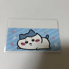 ラスト！ ちいかわ ハチワレ マイナンバーカード クリアケース 1枚のサムネイル