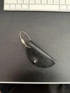 Item thumbnail for item 86fa1dfa-7eed-4632-9d21-46410b49d9d5