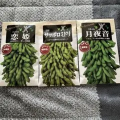 whitewood cat様 リクエスト 4点 まとめ商品