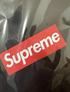 専用2 supreme Anniversary Box Logo Teeのサムネイル
