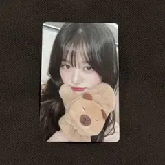 IVE ウォニョン トレカ　Switch 中華 yizhiyu 3.0 カピバラ