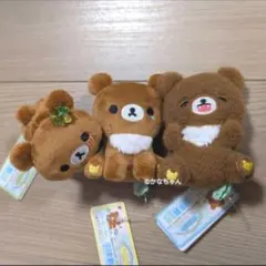 チャイロイコグマ てのりぬいぐるみ マスコット 10th 10周年 パーティ