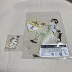 福岡ソフトバンクホークス　アクスタくじ　周東佑京あたり、ノーマル2個セット