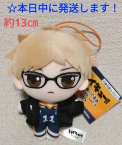 2025年最新】ハイキュー ぷちぬいぐるみマスコット vol.1の人気
