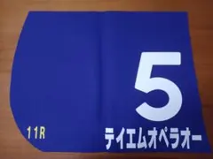 シンコウラブリイ レース実使用ゼッケン】シンコウラブリイ毎日王冠