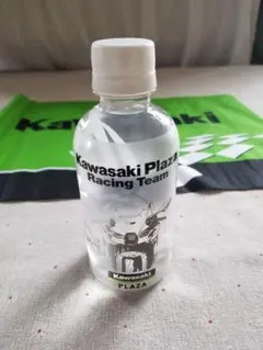 Item thumbnail for item d7c7648d-01f9-4686-a820-1c7a9149856c