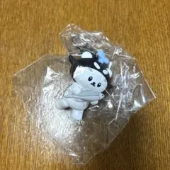 2026年最新】taynew polcasanの人気アイテム - メルカリ