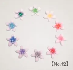 No.12 プルメリア ぷっくり パーツ ハンドメイド 3D