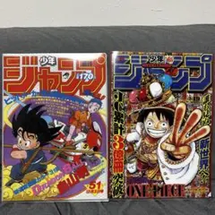 週刊少年ジャンプ　50周年　一番くじ　G賞 ワンピース　ドラゴンボール