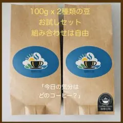 選べる‼︎コーヒー豆　100g x 2種類
