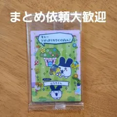 mi様 リクエスト 2点 まとめ商品