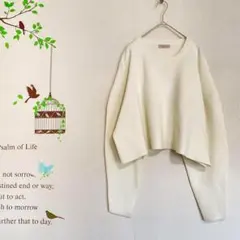 elgna /クロップ ニット ボリューム袖 ワイド クルーネック 毛混 38