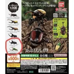 いきもの大図鑑 かぶとむし 09 2点 セット パンカブト ハナムグリ