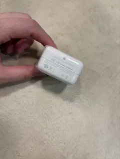 USB Power Adapter 純正品