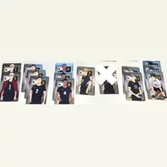 ハイキューメタリックカード　稲荷崎高校