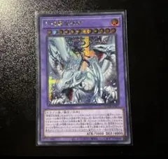 2026年最新】マスターオブドラゴンマギア シークレットの人気アイテム