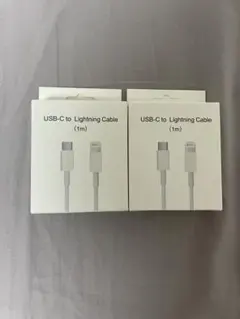 USB-C to Lightningケーブル 1m 2本セット
