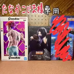 たなかこじま様　専用　HUNTER×HUNTER フィギュ