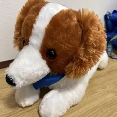 コーイケルホンディエ　おでこちゃん　ウルトラBIGぬいぐるみ