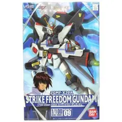 【初回特典付】1/100 ストライクフリーダムガンダム