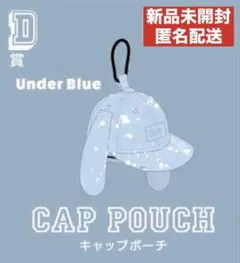 Item thumbnail for item 39345cc6-dd5f-4d00-93d2-7c83e44d907c