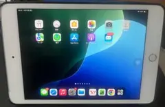 iPad mini 第5世代 256GB Wi-Fi+Cellular　美品！