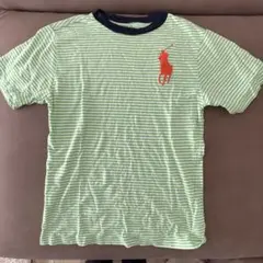 POLO RALPH LAUREN 緑 ストライプ Tシャツ M10-12