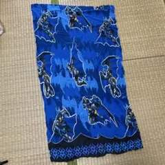 Item thumbnail for item 30d435e1-9b49-45e4-8039-95e5db044885