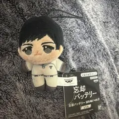 忘却バッテリー ほわぬいvol.2 国都英一郎 - メルカリ