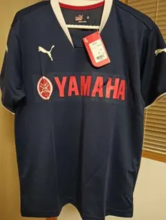 Item thumbnail for item a73f4b5e-d076-42f5-b618-dd9eba7117c0