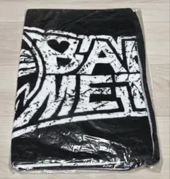 新品未使用品】BABYMETAL THE ONE 2019 BIGタオル|mercari商品代購