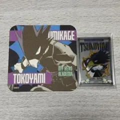 ヒロアカ 常闇踏陰 グッズセット