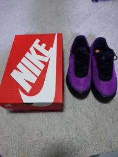 NIKE AIR MAX DN SE 10 (US) ボールドベリー/ブラック