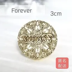 R-53 シーリングスタンプ　ヘッド　3D Forever 30mm 希少