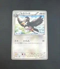 ⭐️かっこいいイラスト⭐️ ポケモンカード ムクバード 1ed BW 超希少