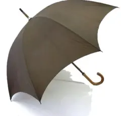 Item thumbnail for item 0250e809-9551-4a20-be71-123e7b21e98f