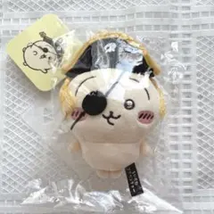 ちいかわアドベンチャー　うさぎ　マスコット　お台場冒険王