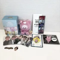 StrayKids スキズ チャンビン トゥエッキ キーリング まとめ売り
