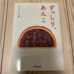 新品未使用！ずっしり、あんこ