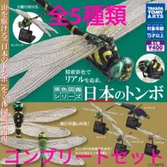 2025年最新】原色 オニヤンマの人気アイテム - メルカリ