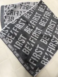 Item thumbnail for item c5653f3d-1187-4f52-9df8-dc8cd78b94b9