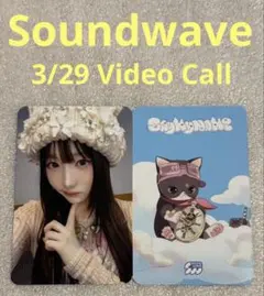 やさいプロフ必読様 リクエスト 2点 まとめ商品