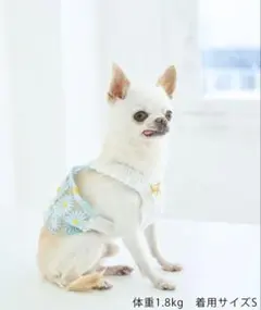 夏服　犬服　rope picnic キャミソール　水色　新品　Sのサムネイル