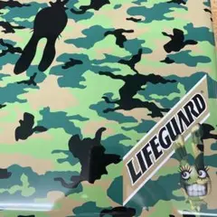 Item thumbnail for item aeb2f7ed-39ed-4365-a39a-5b21a4b274b6