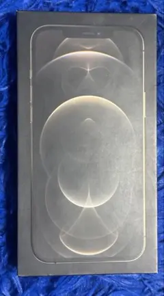 iPhone12 Pro max512GB